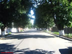 Strada 1 Mai la piata-2.jpg (131kb)